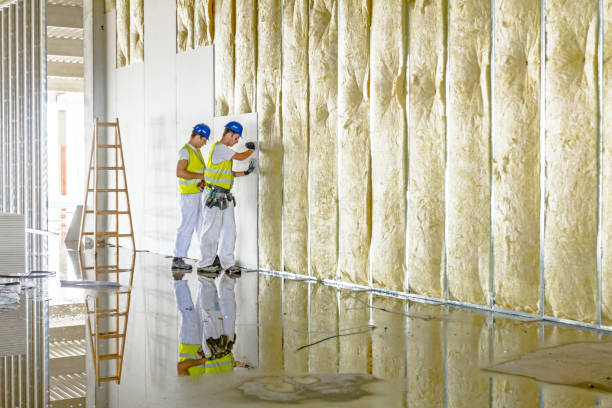 Best Insulation Maintenance and Repair in San Manuel, AZ